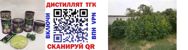 как найти закладки  Сосновый Бор  Печенье с ТГК марихуана 
