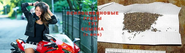 бошки Абдулино
