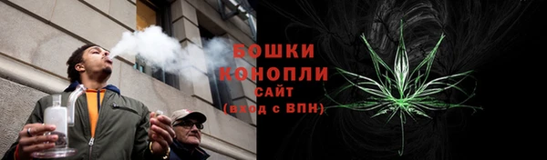 гидропоника Новозыбков