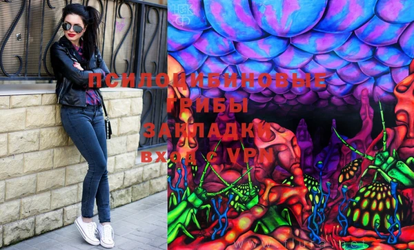 амф Алексеевка