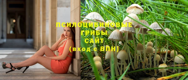 амф Алексеевка