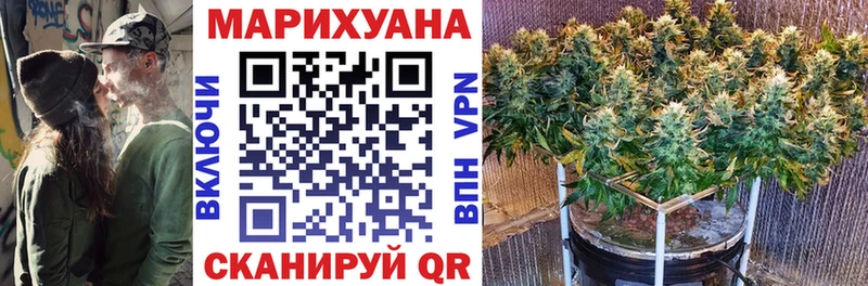 Бошки Шишки планчик  Сосновый Бор 